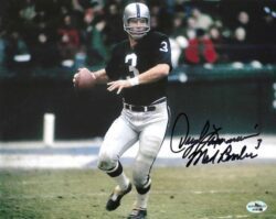 Autographed DARYLE LAMONICA 8x10 Oakland Raiders photo