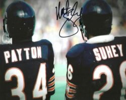 Autographed MATT SUHEY 8x10 Chicago Bears Photo